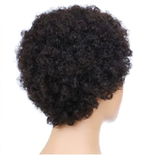 HH wigs curly
