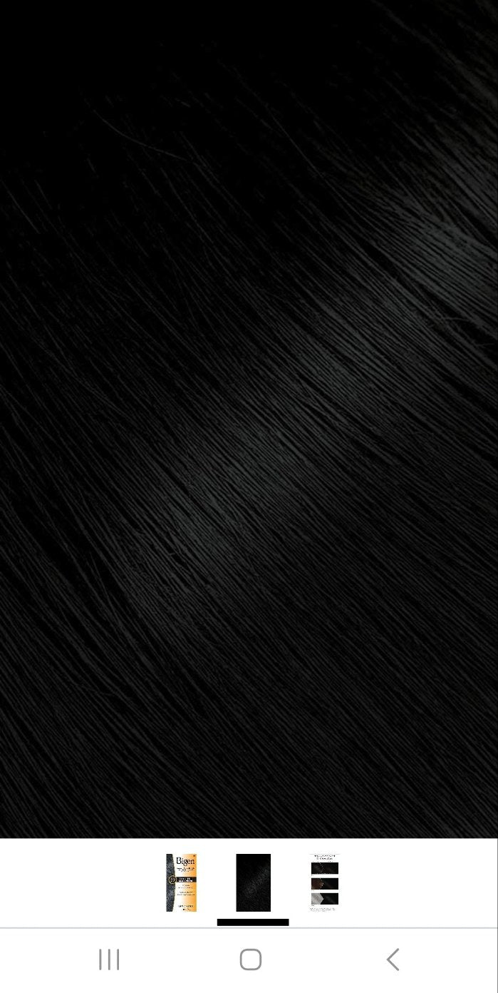 Bigen Permanent Powder (Black)