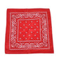 Bandana