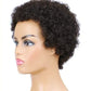 HH wigs curly