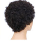 HH wigs curly